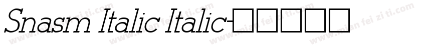 Snasm Italic Italic字体转换